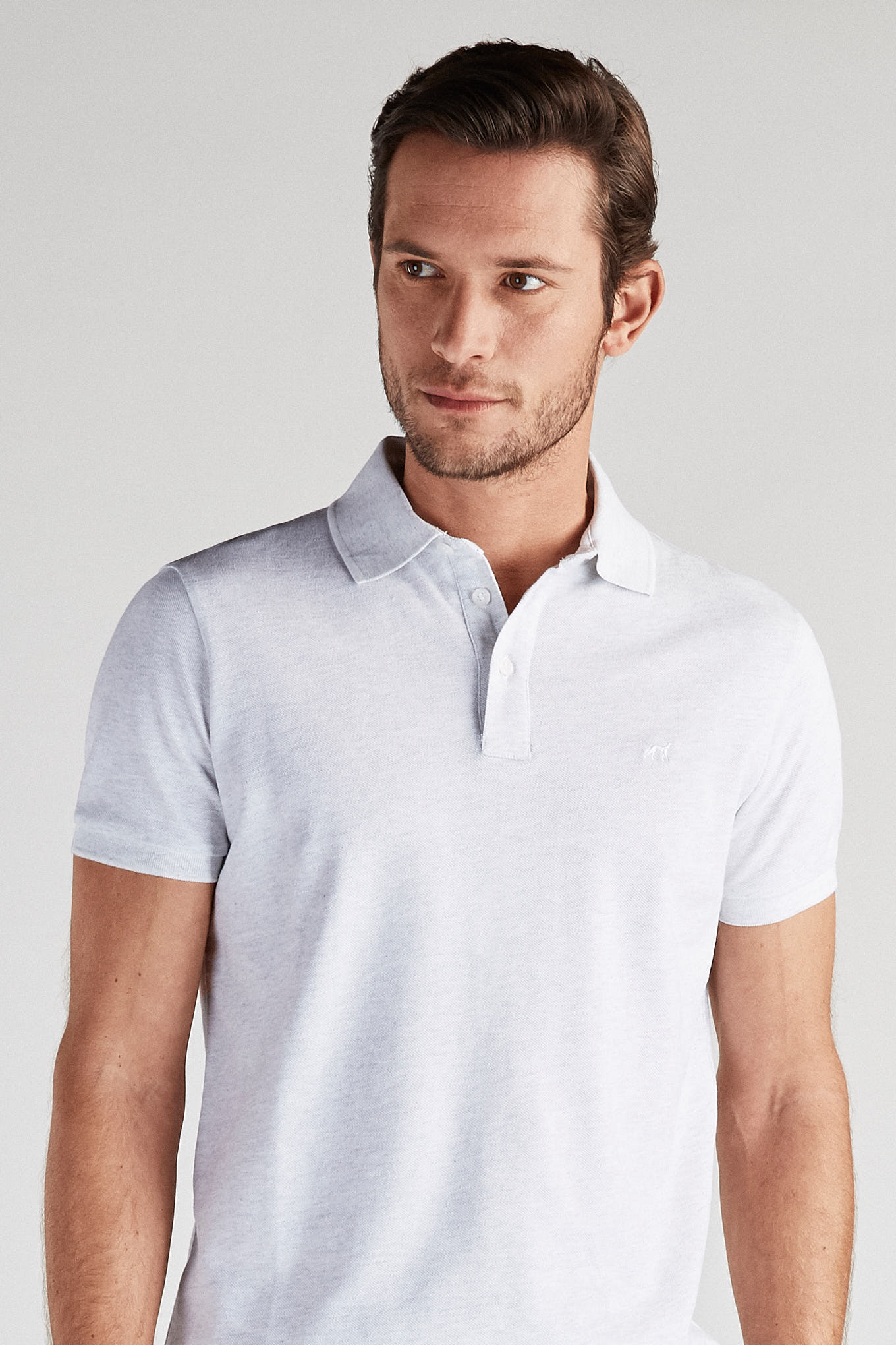 Light Grey
