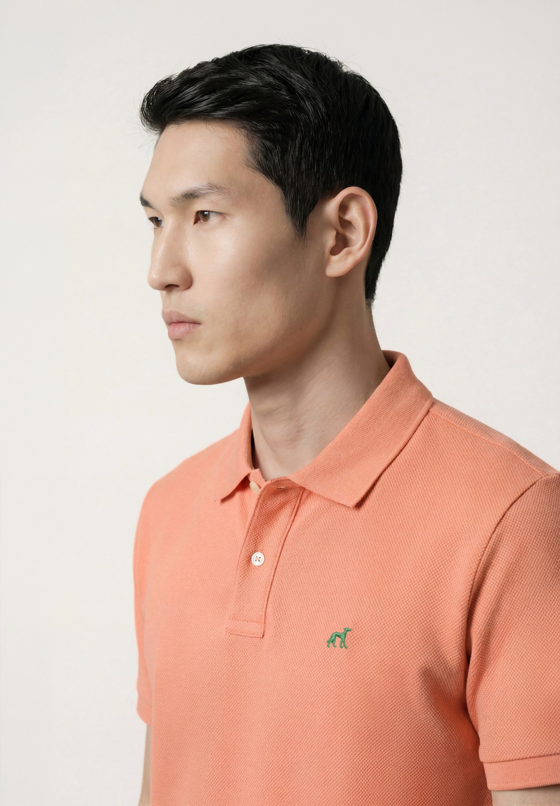 Light Orange (AI)