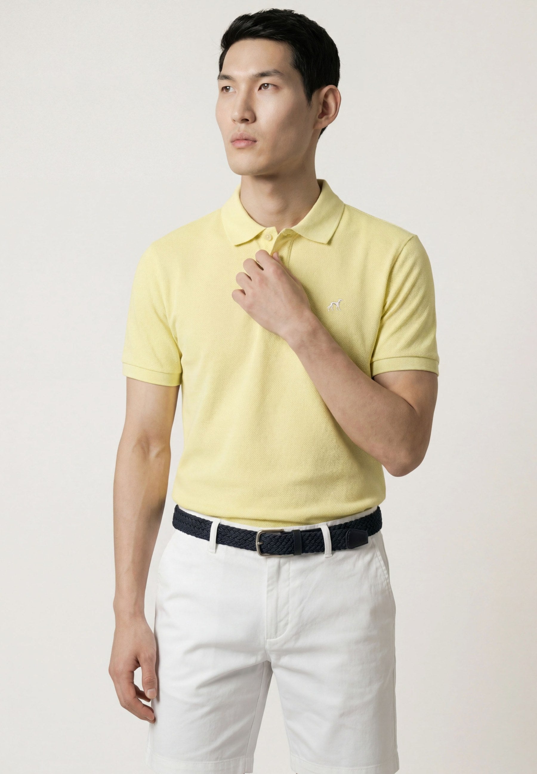 Light Yellow (AI)
