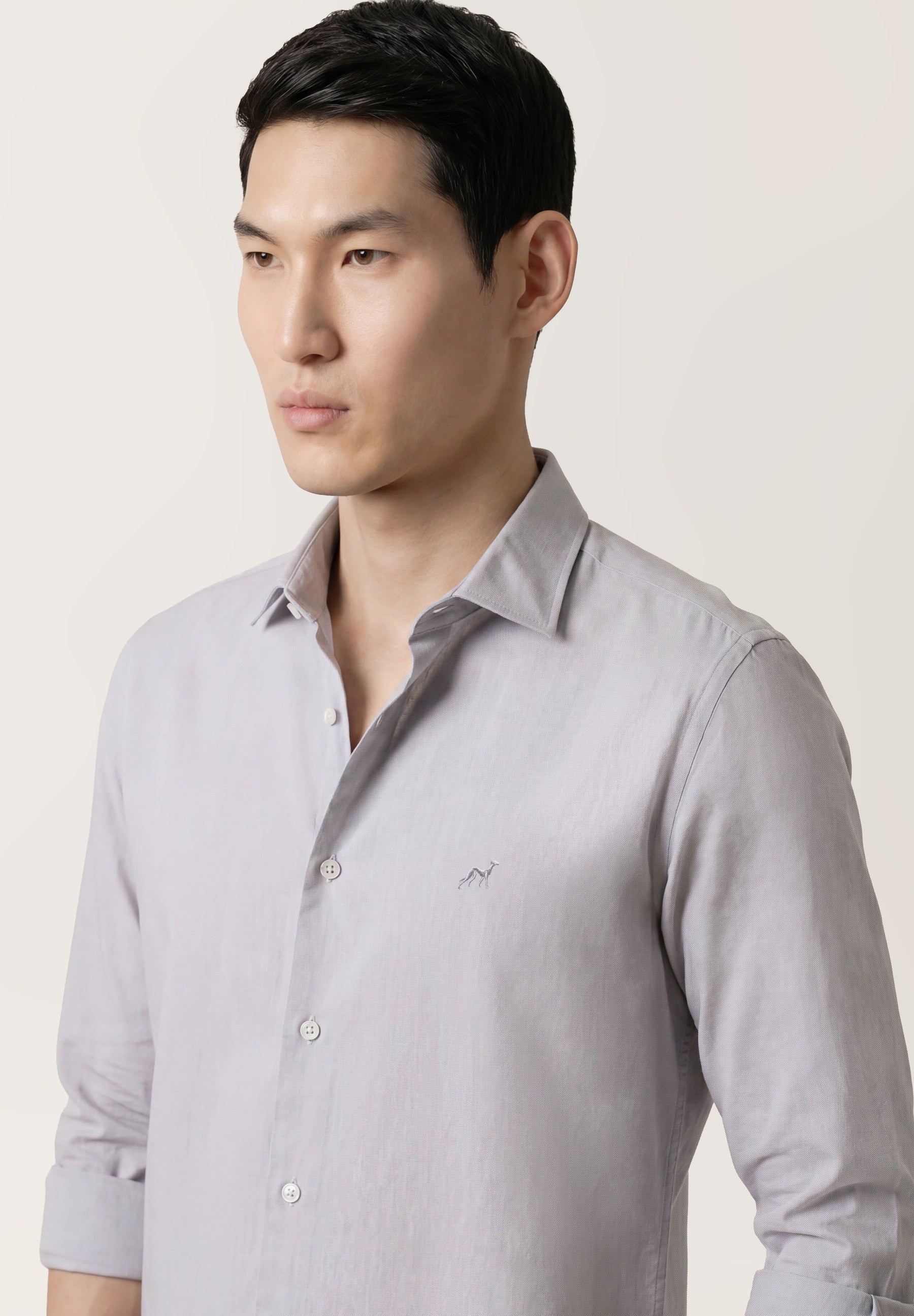Light Grey (AI)