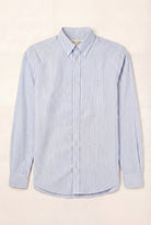 Light Blue (AI)