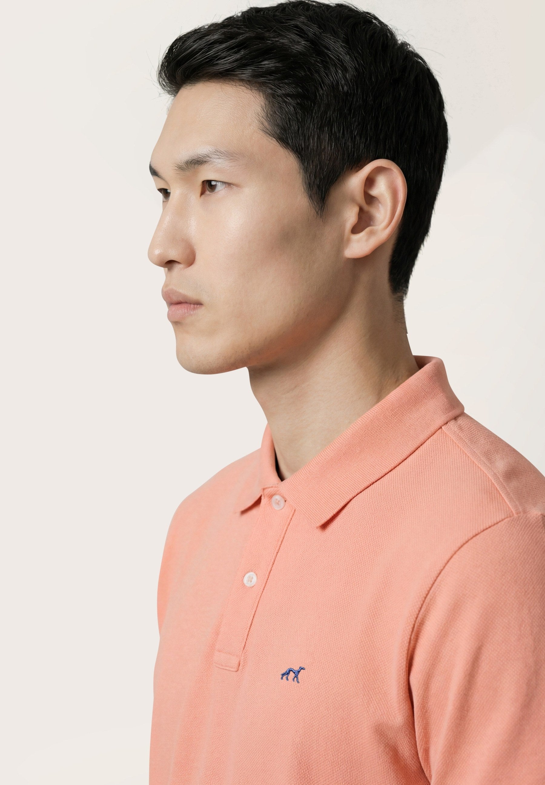 Light Orange (AI)