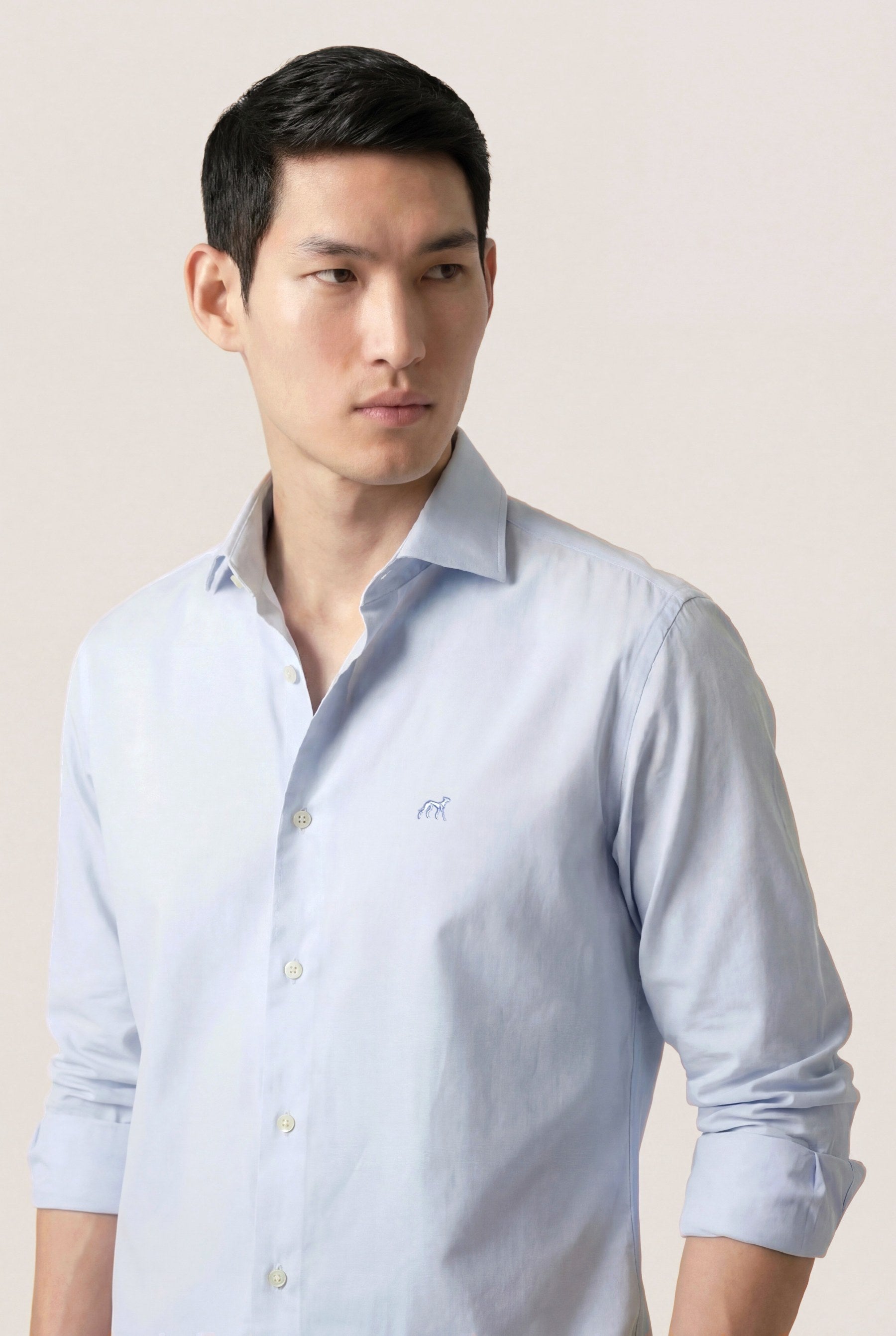 Light Blue (AI)