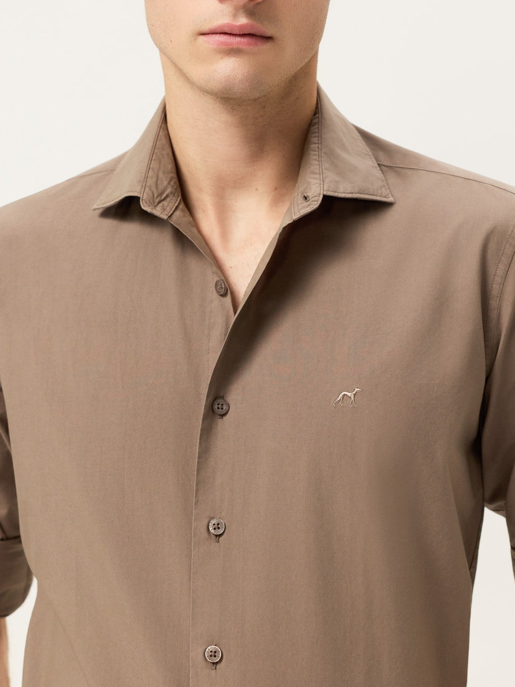 Light Brown