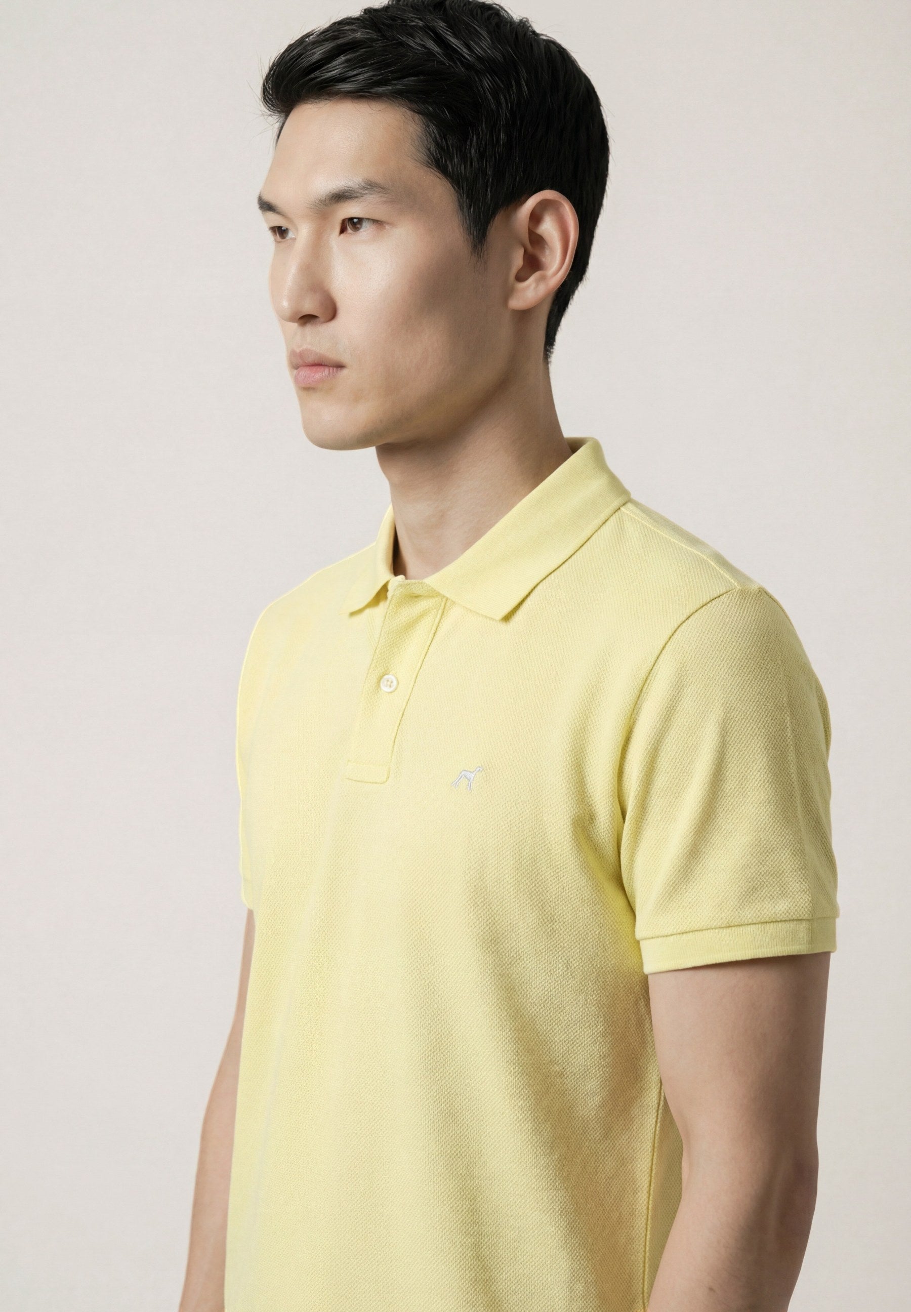 Light Yellow (AI)