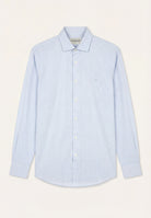 Light Blue (AI)