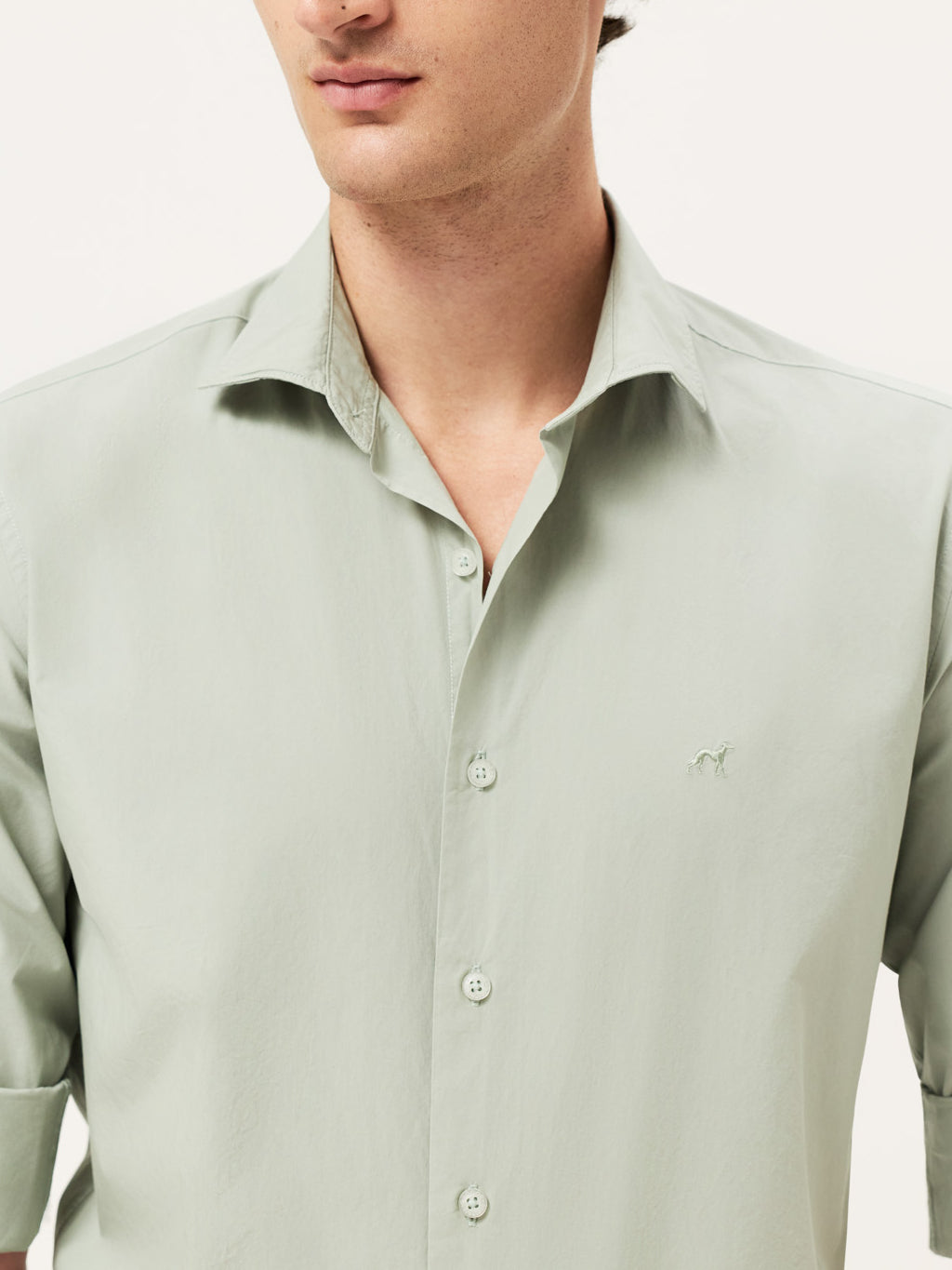 Light Green