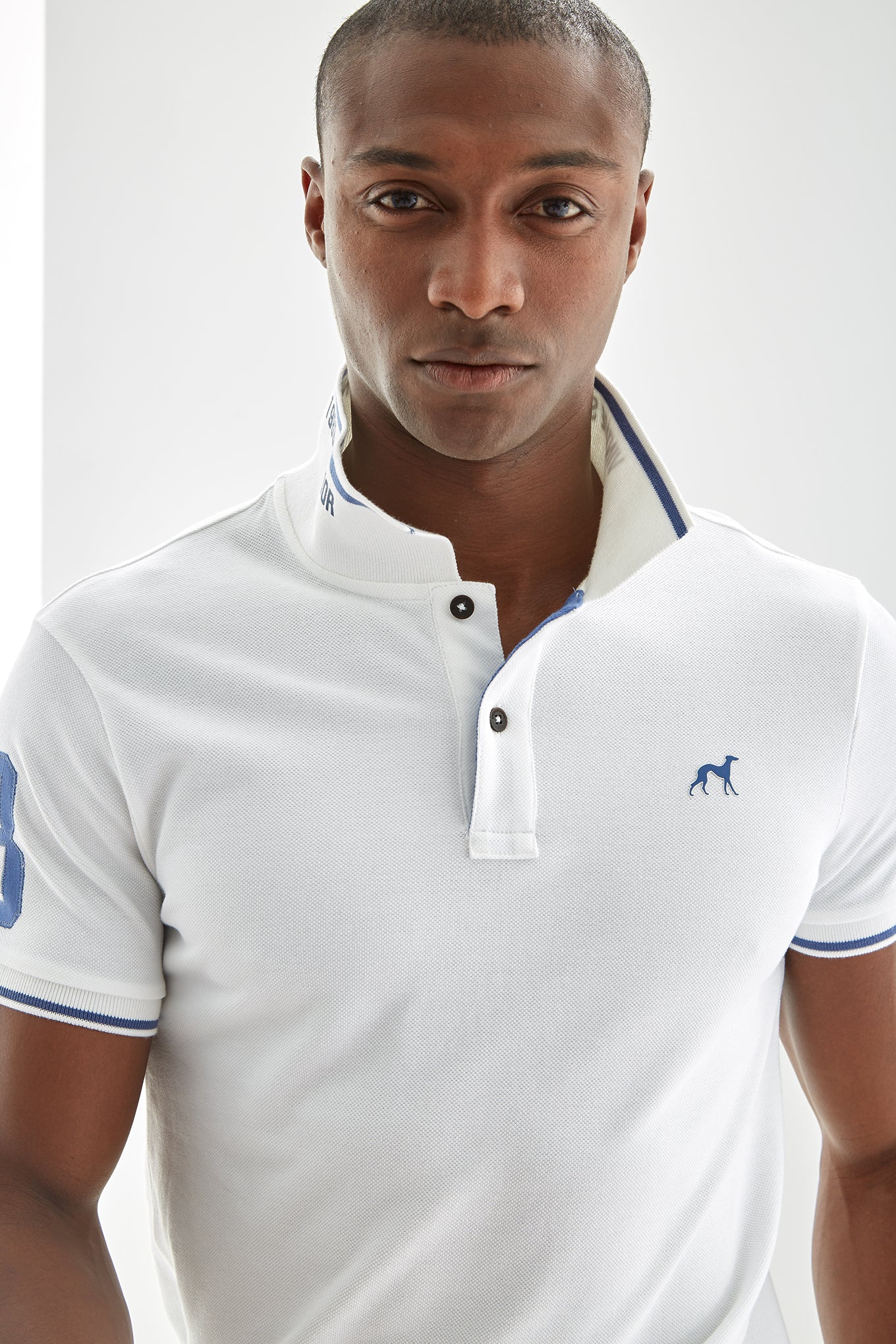 sacoor brothers polos
