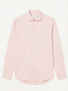 Light Pink (AI)