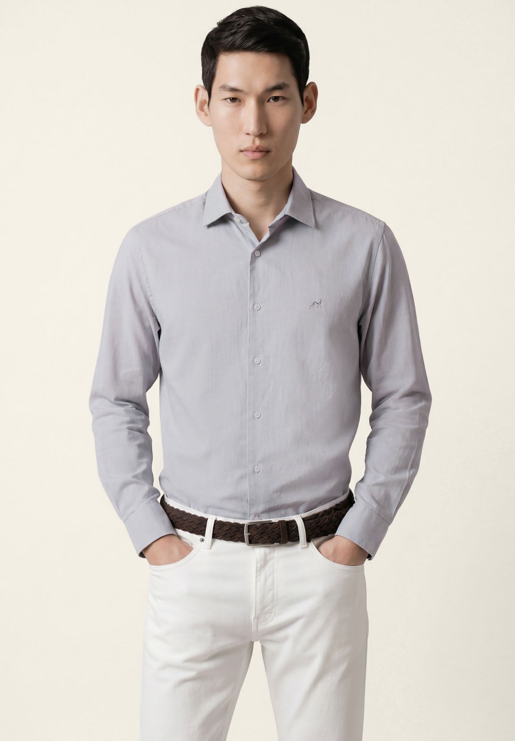Light Grey (AI)