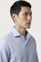 Light Blue (AI)